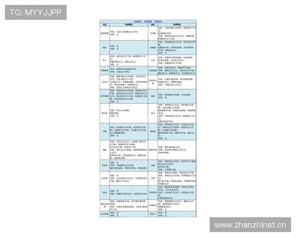 肋部组织核心：维尔茨的进攻发起方式